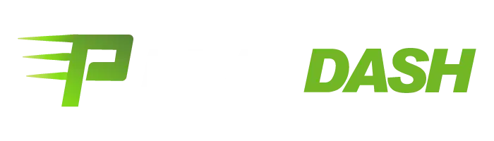Playdash Logo